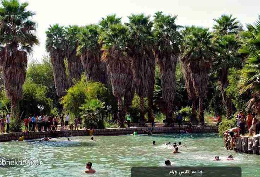 فیلم | آتش‌سوزی در باغ چشمه بلقیس / فرماندار چرام: فیلم‌های منتشرشده از آتش‌سوزی باغ چشمه بلقیس بزرگنمایی است / علت مشخص نیست