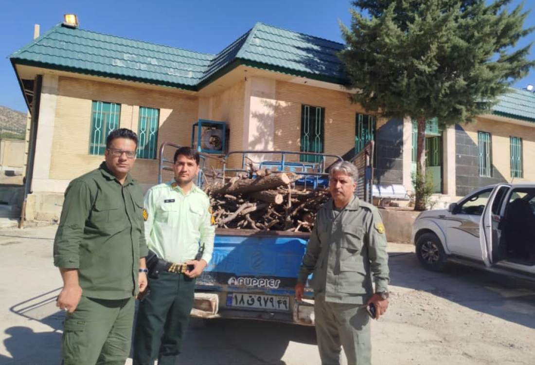 اعمال قانون دو گروه متخلف قاچاق چوب و صید غیرمجاز ماهی در دنا
