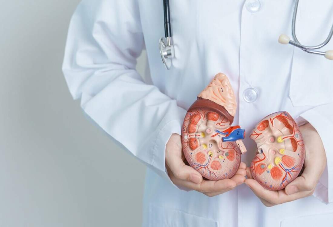 دو بیماری خاص که کلیهها را از کار میاندازد دو بیماری خاص که کلیهها را از کار میاندازد