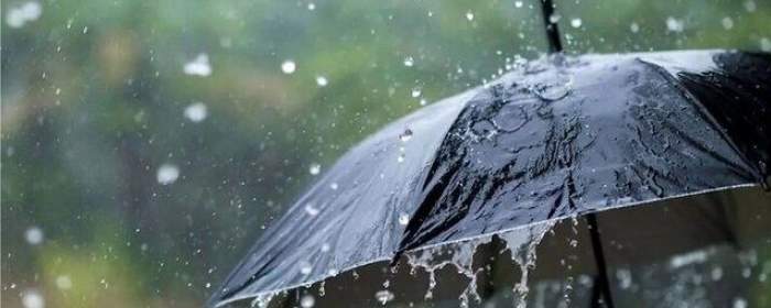 چرا باران نمیبارد؟ پاسخ شگفتانگیز مدیرکل پیشبینی سازمان هواشناسی کشور چرا باران نمیبارد؟ پاسخ شگفتانگیز مدیرکل پیشبینی سازمان هواشناسی کشور