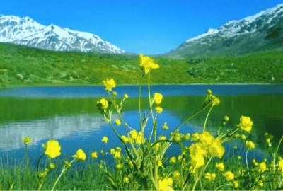 با فرماندار پروازی و مدیران کم‌تجربه، ظرفیت‌های بالقوه دنا بالفعل نمی‌شوند