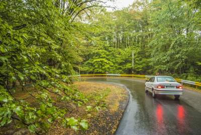 باران میبارد؛ کارشناس برجسته هواشناسی خبر داد / کدام استانها بارندگی خواهند داشت؟ باران میبارد؛ کارشناس برجسته هواشناسی خبر داد / کدام استانها بارندگی خواهند داشت؟