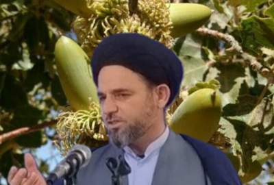 اتمام حجت امام جمعه کبگیان به منابع طبیعی استان