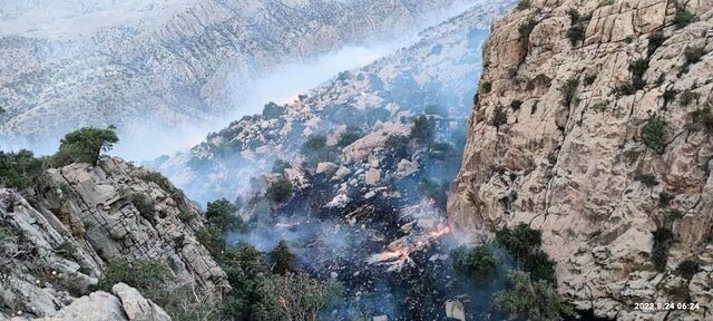 آخرین اخبار از آتش سوزی منطقه حفاظت شده خامی